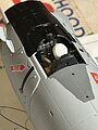 member image