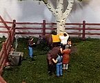 Working in the Stables