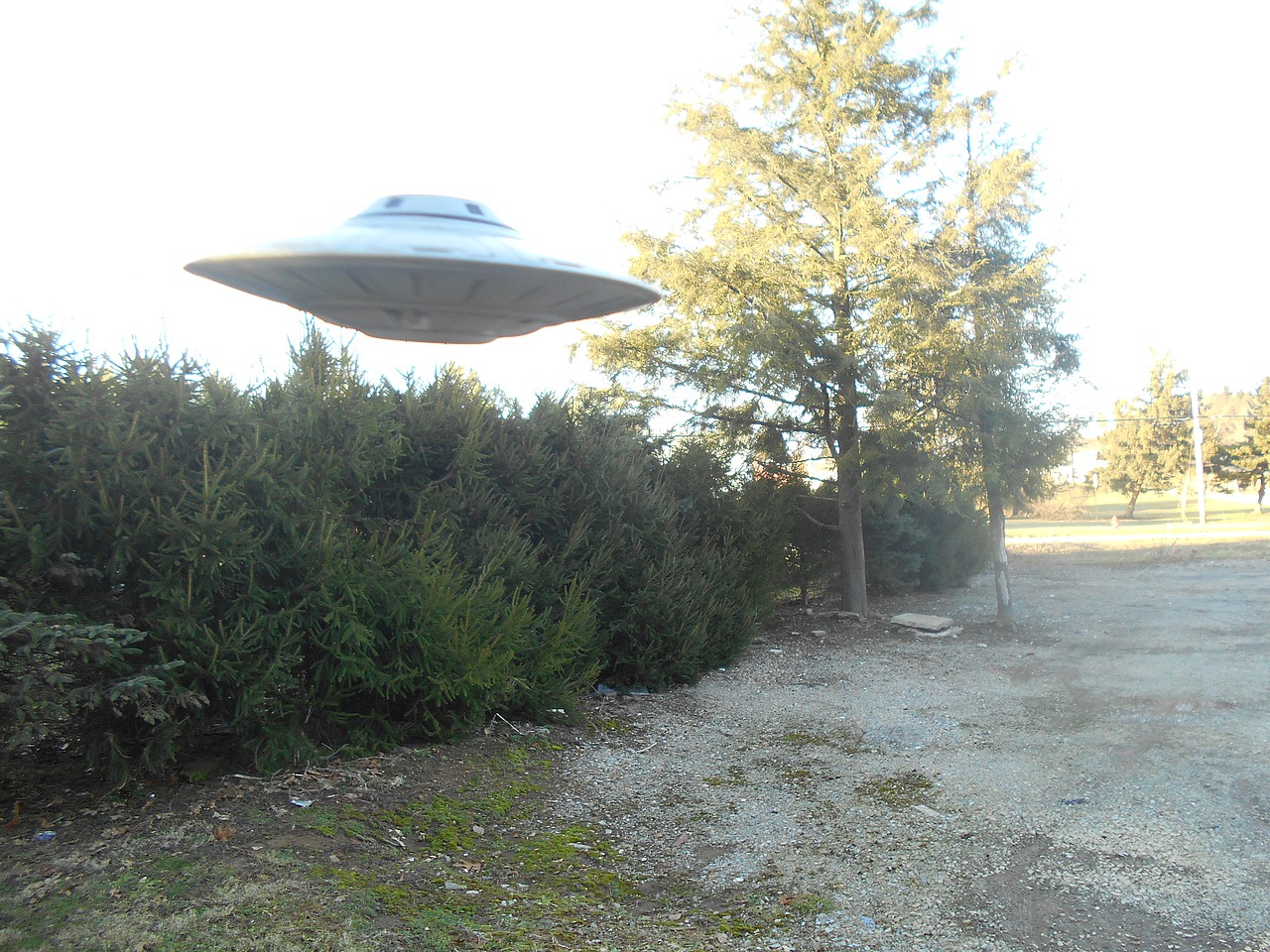 I Want To Believe UFO Billy Meier Science Fiction Plastic Model Kit