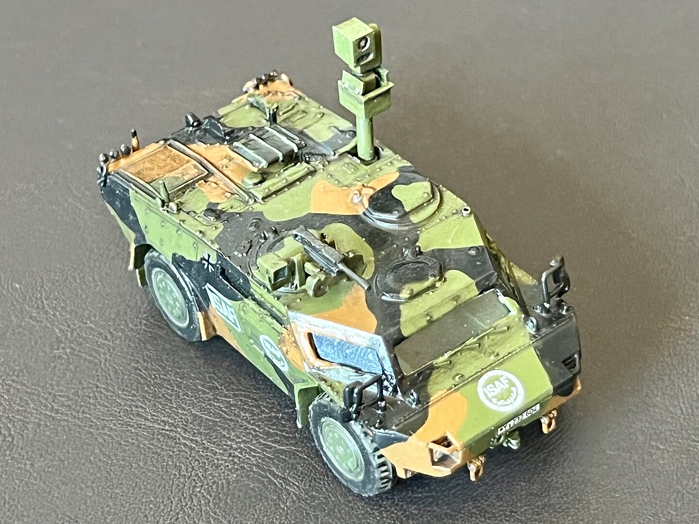 Member Picture