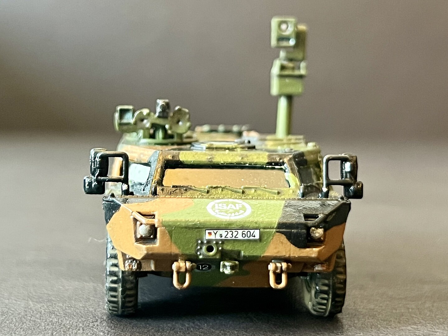 Member Picture