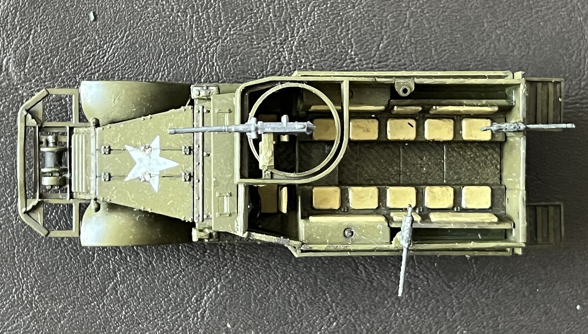 Member Picture