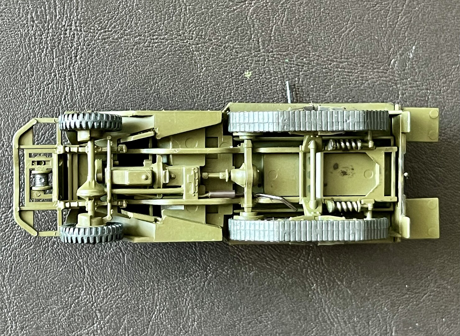 Member Picture