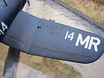 member image