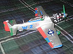 member image