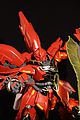User Upload Picture User Upload Picture