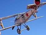 Nieuport 24 Bis