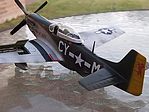 member image