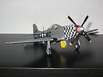 member image