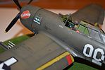 Republic P-47D Thunderbolt Fighter Aircraft