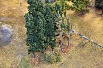 Scenic Accents Assembled