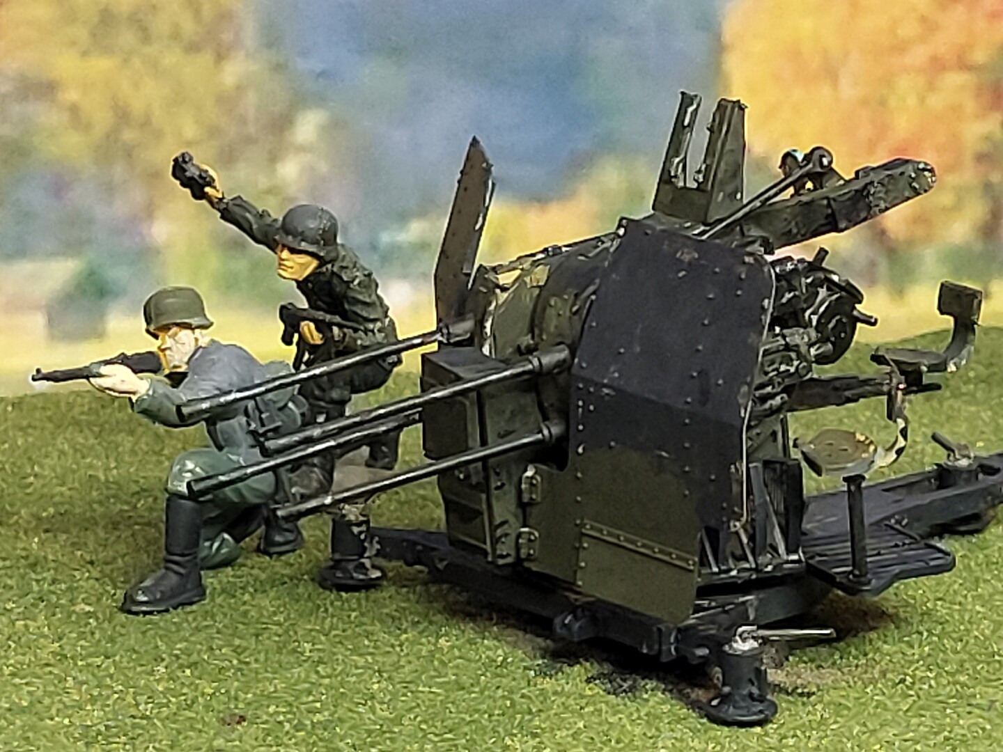 Member Picture