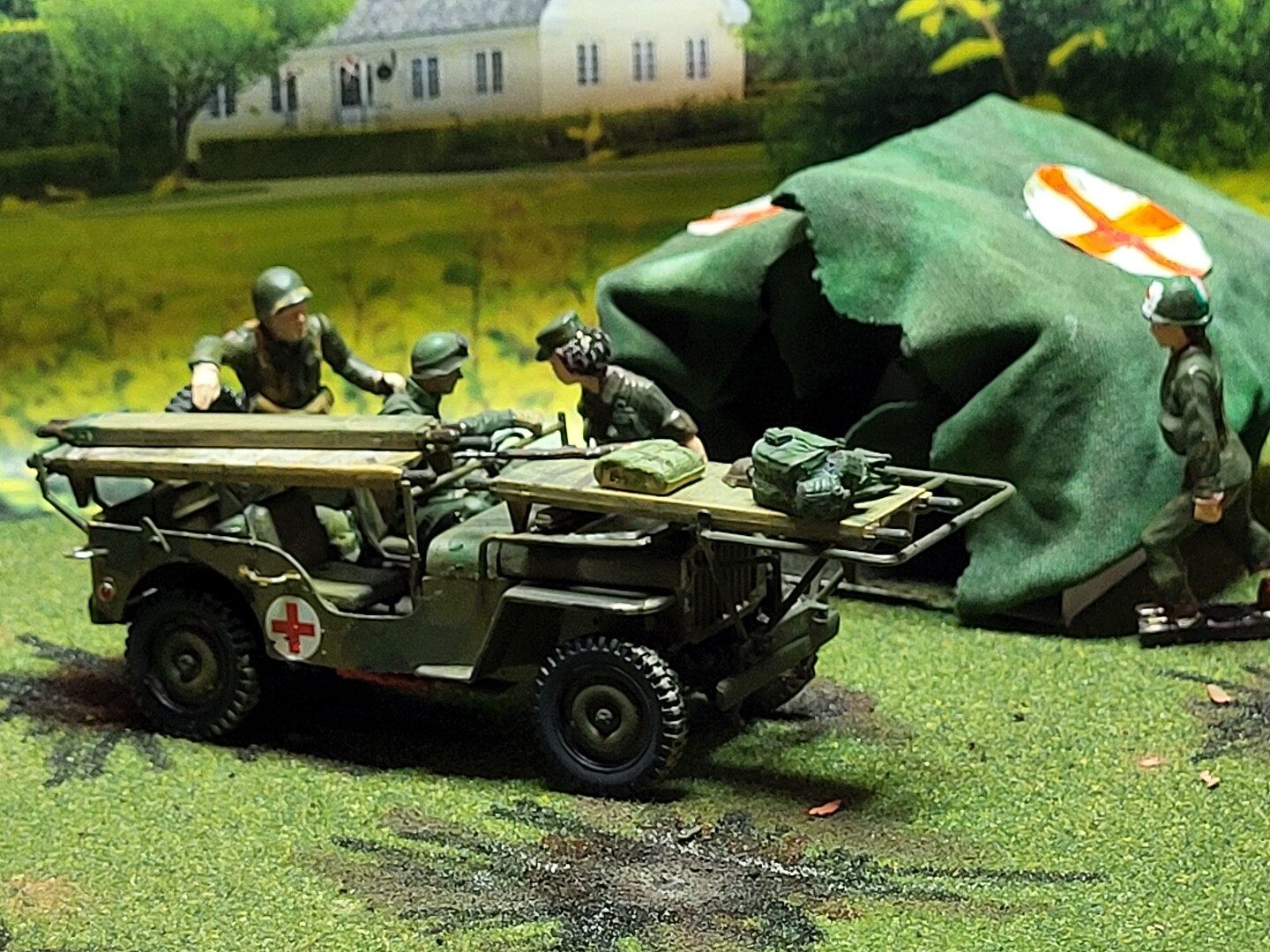 Member Picture