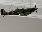 member image