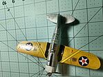 US F2A Buffalo