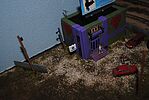 user uploaded image