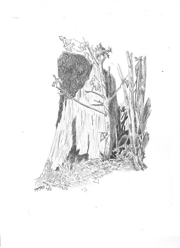 Member Picture