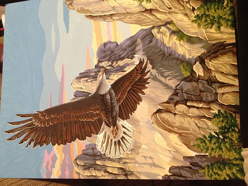 Dimensions Soaring Eagle Paint By Number Kit #91301