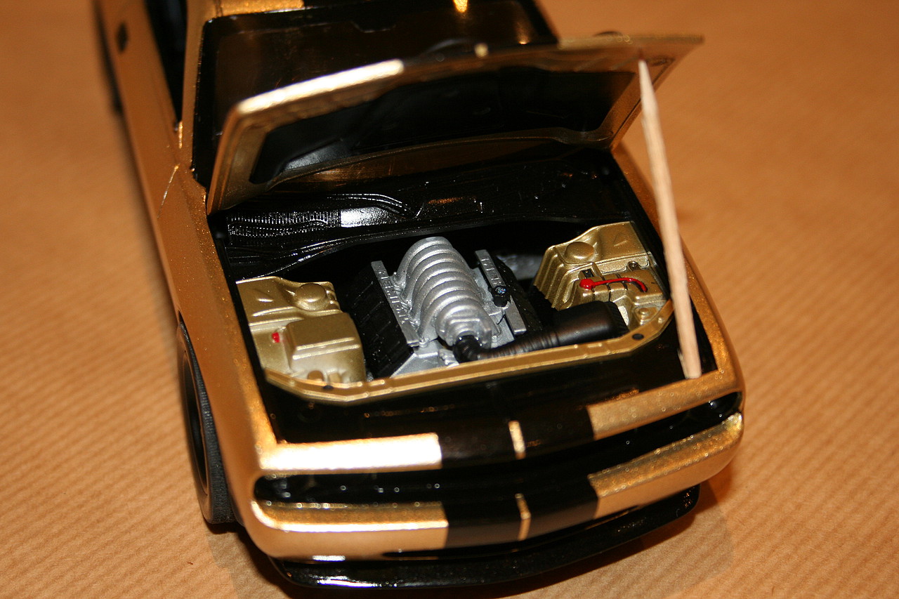 Member Picture