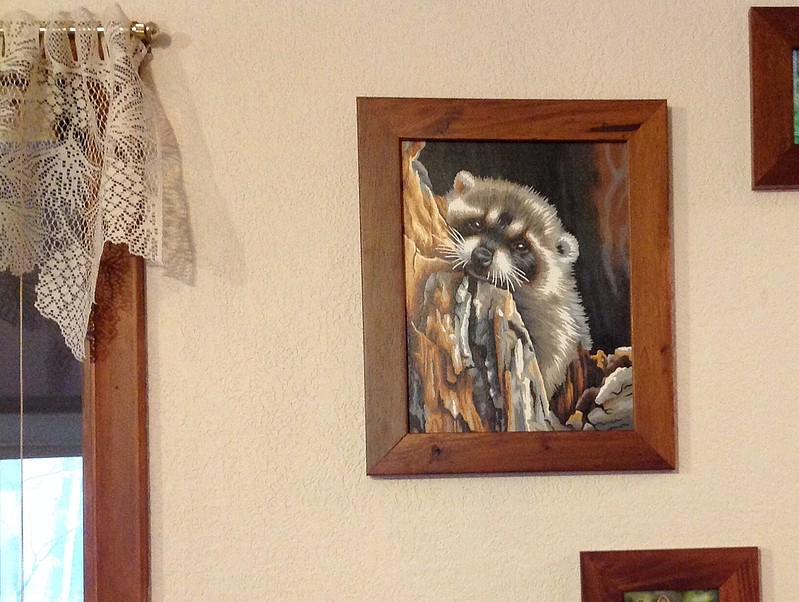 Dimensions Daydreaming Raccoon Paint By Number Kit #91418