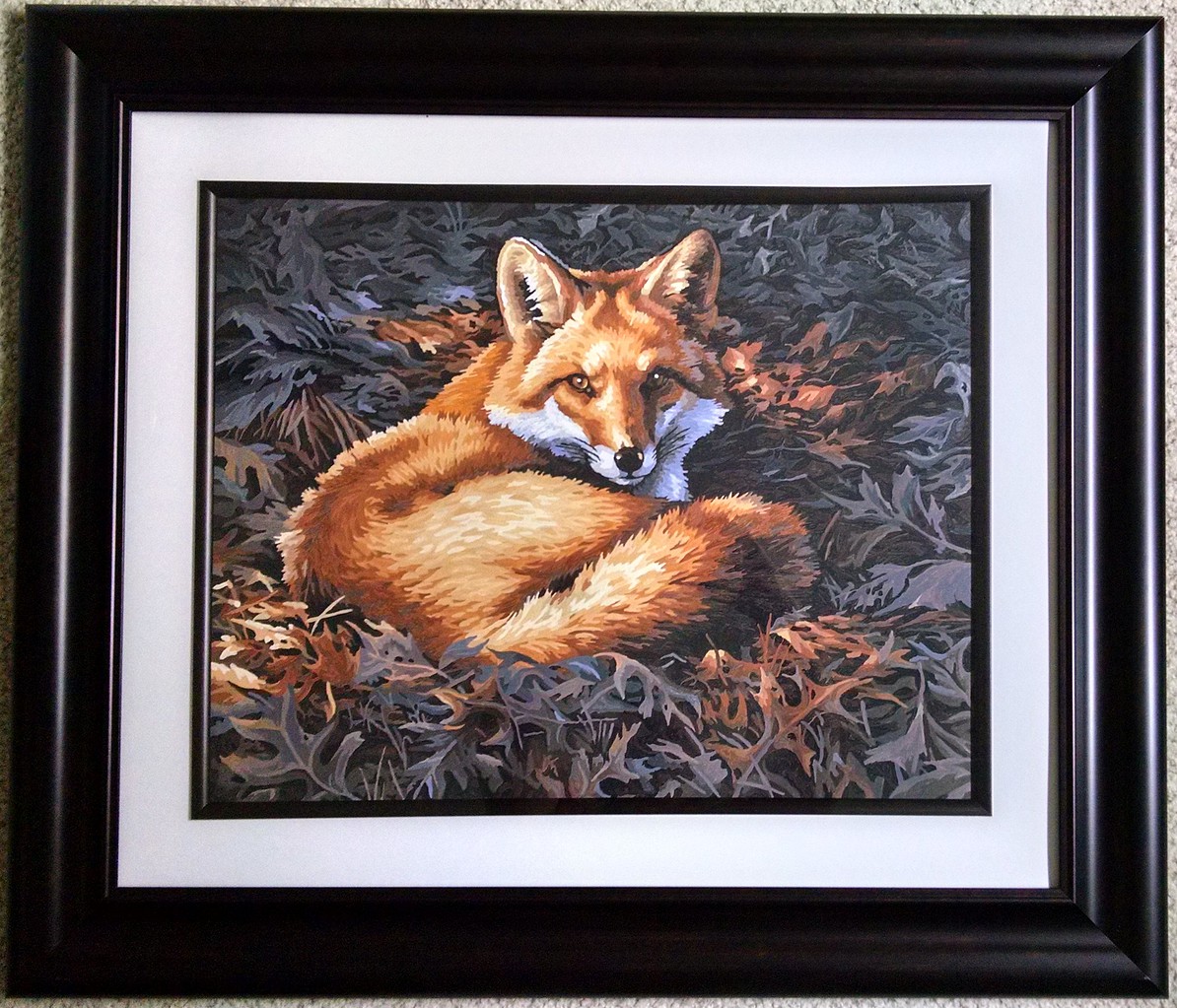 Dimensions Sunlit Fox Paint By Number Kit #91380