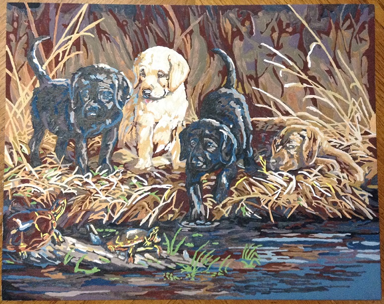 Turtle Hunters Labrador Puppies At Stream 20 X16 Paint By