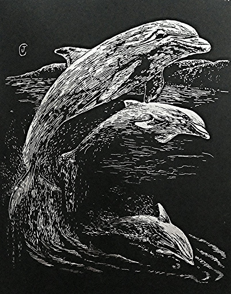 Gallery Pictures RoyalBrush Silver Foil Engraving Art Dolphins Scratch