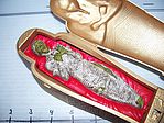 The Strange Changing Mummy