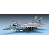 F15E Eagle w/Bomb USAF Aircraft