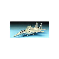 F15E Strike Eagle Fighter