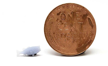 All-Scale-Miniatures Fish (5) (unpainted) HO Scale Model Railroad Building Accessory #870984