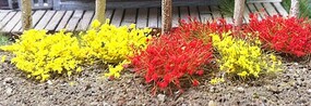 Bachmann 6mm Tufts Yellow/Red (100)