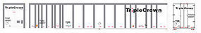 Bowser 53' Plate-Wall Roadrailer Norfolk Southern #363009