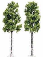 Busch Sycamore Trees 6-1/2'' 16.5cm pkg(2) HO Scale Model Railroad Tree #6791