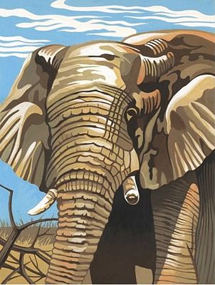 Colart Elephant Acrylic Paint by Number 9x12 Paint By Number Kit #11013