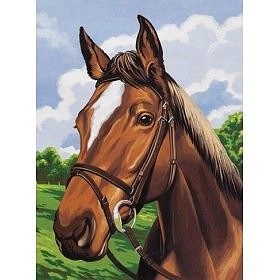 Colart Horse Head Acrylic Paint by Number 9x12 Paint By Number Kit #12010