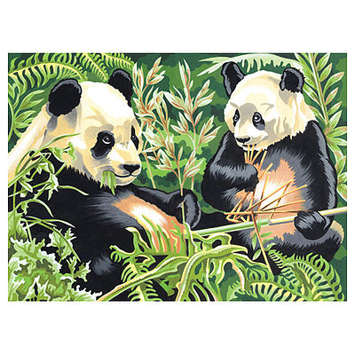 Colart Pandas Acrylic Paint by Number 11.5x15.5 Paint By Number Kit #13161