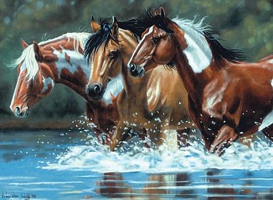 Colart Heading Upstream Horses in River Acrylic Paint by Number 12x16 Paint By Number Kit #78030