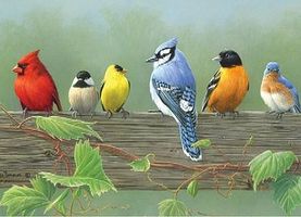 Rail Birds Acrylic Paint by Number 12''x16''