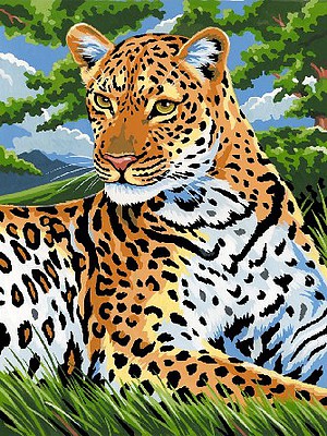 Colart Leopard Acrylic Paint by Number 9x12