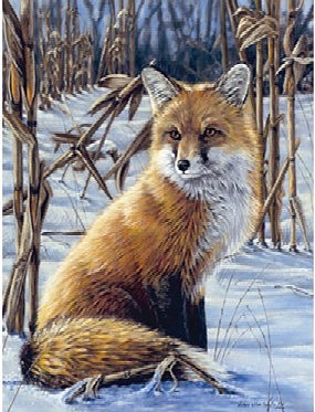 Colart Fox on Edge of Cornfield Acrylic Paint by Number 9''x12 ...