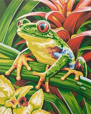 Colart Tree Frog Acrylic Paint by Number 9x12 (Replaces #85700)