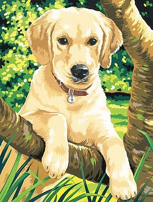 Colart Labrador Acrylic Paint by Number 9x12 Paint By Number Kit #91210