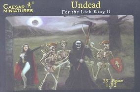 Fantasy Undead Fighting Skeletons