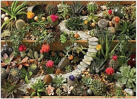 Cobble-Hill Succulent Garden Puzzle (1000pc)