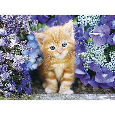 Creative Ginger Cat in Flowers 500pcs Puzzle 0-500 Piece #30415