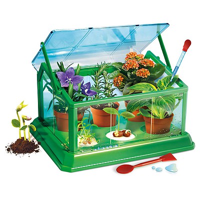 Creative My First Greenhouse