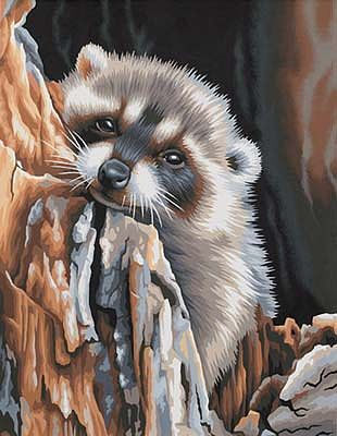Dimensions Daydreaming Raccoon Paint By Number Kit #91418