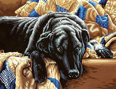 Dimensions Guilty Pleasures (Black Labrador Lying on Sofa) Paint By Number Kit #91469