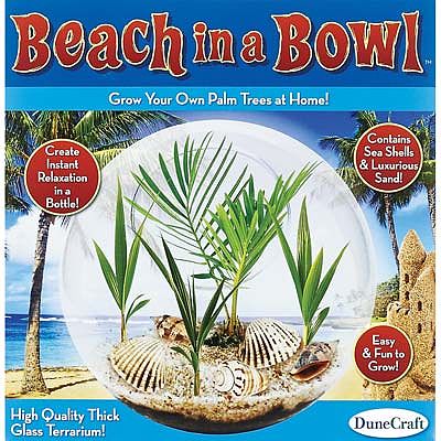 Dunecraft Beach In A Bowl